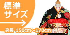 標準サイズ