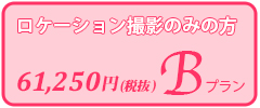 着物は着ないけど、振袖の写真だけは残したいという方に、Bプラン